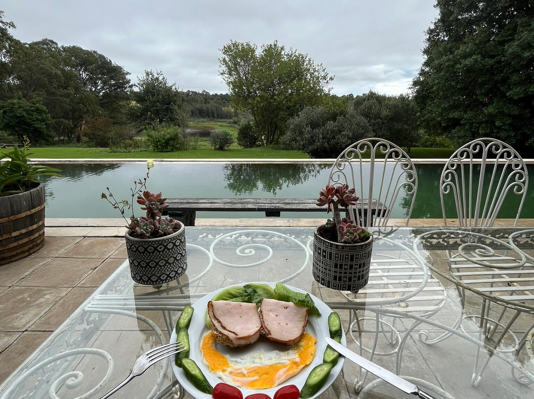 Glen Garriff Lion Conservation Npc-哈利史密斯必去景点