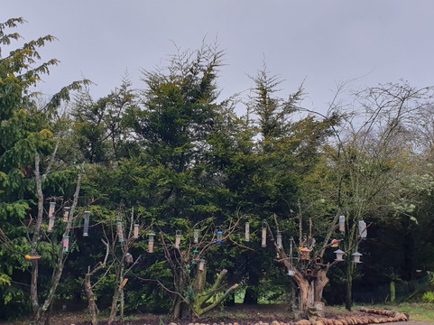 Crannach House主图