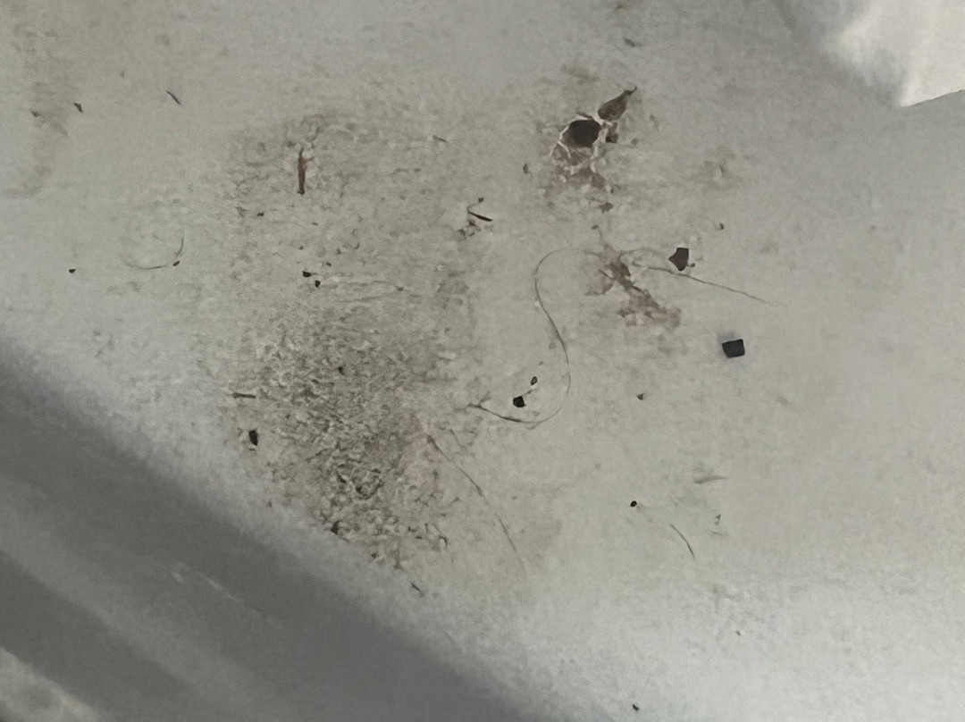 La Quinta Inn & Suites by Wyndham Rome主图