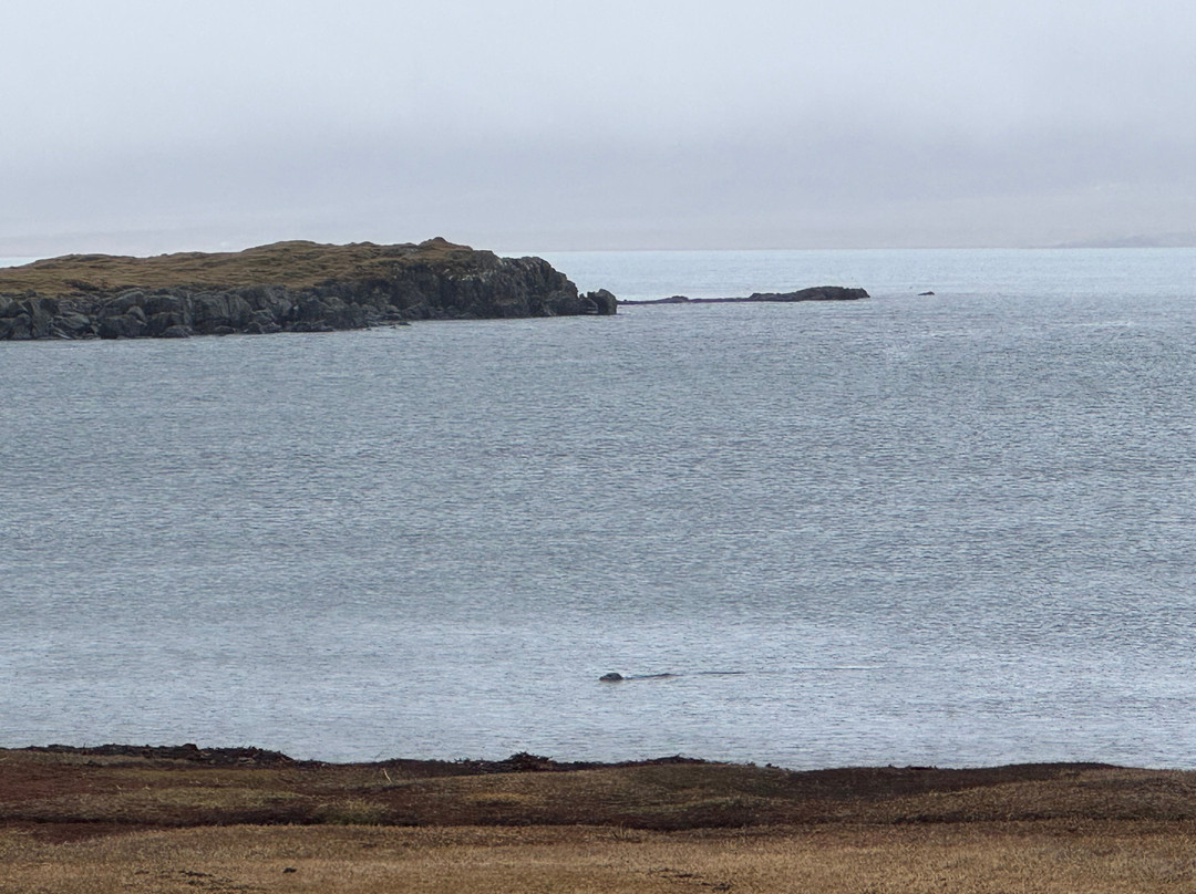 Tinna Adventure-Breiddalsvik必去景点