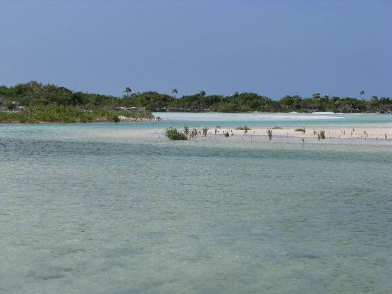 Winter Haven Inn主图