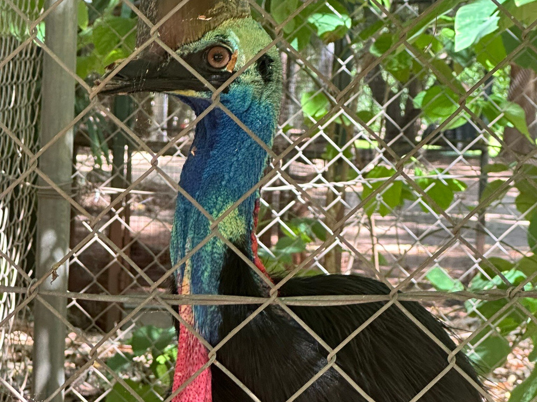 Malcolm Douglas Broome Crocodile Park-布鲁姆必去景点