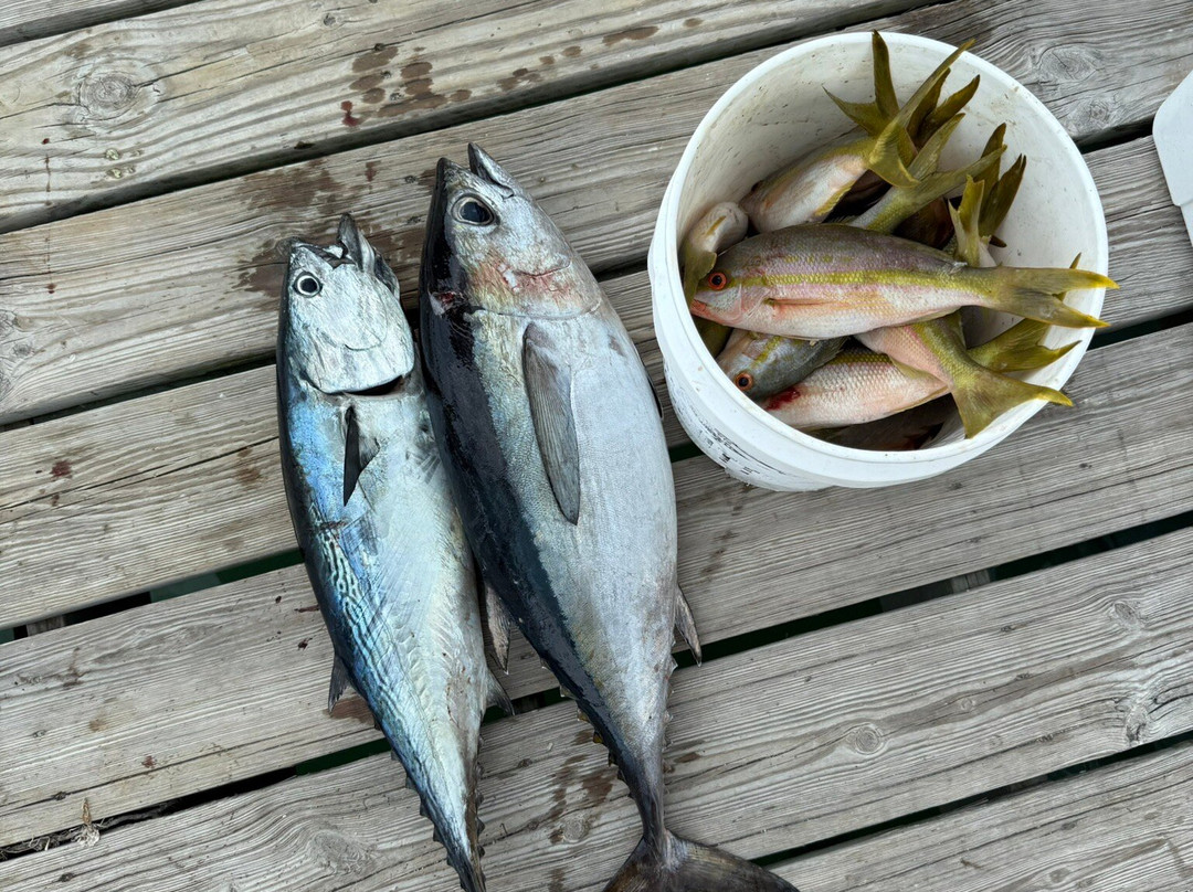 Dirty Boat-伊斯拉摩拉达必去景点