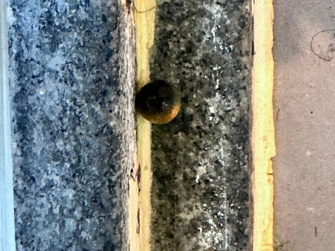 巴拉达蒂茹卡里巴尔塔大西洋酒店主图