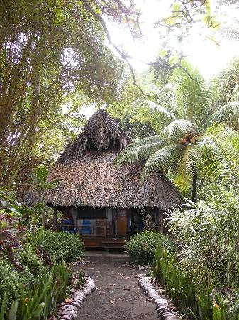 Cabinas Los Cocos主图