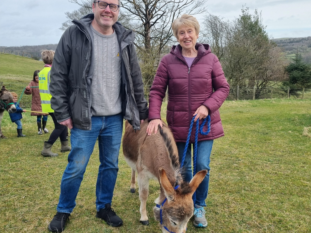 Moel Famau Donkeys景点图片