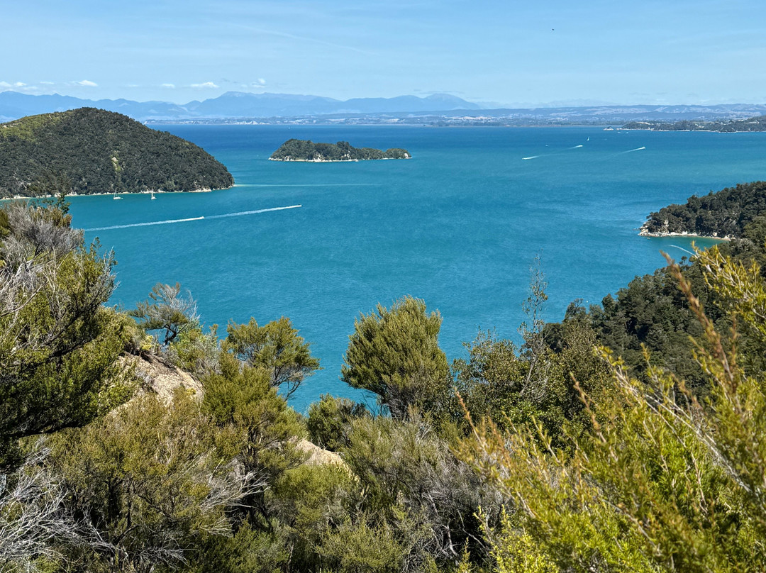 Abel Tasman Guides景点图片