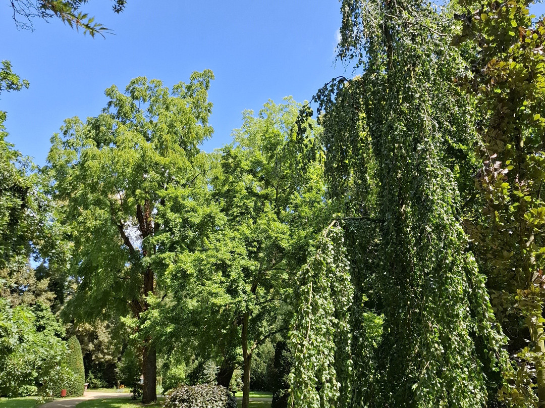 Arboretum Kórnickie景点图片