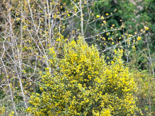 Temescal Regional Recreation Area-奥克兰必去景点