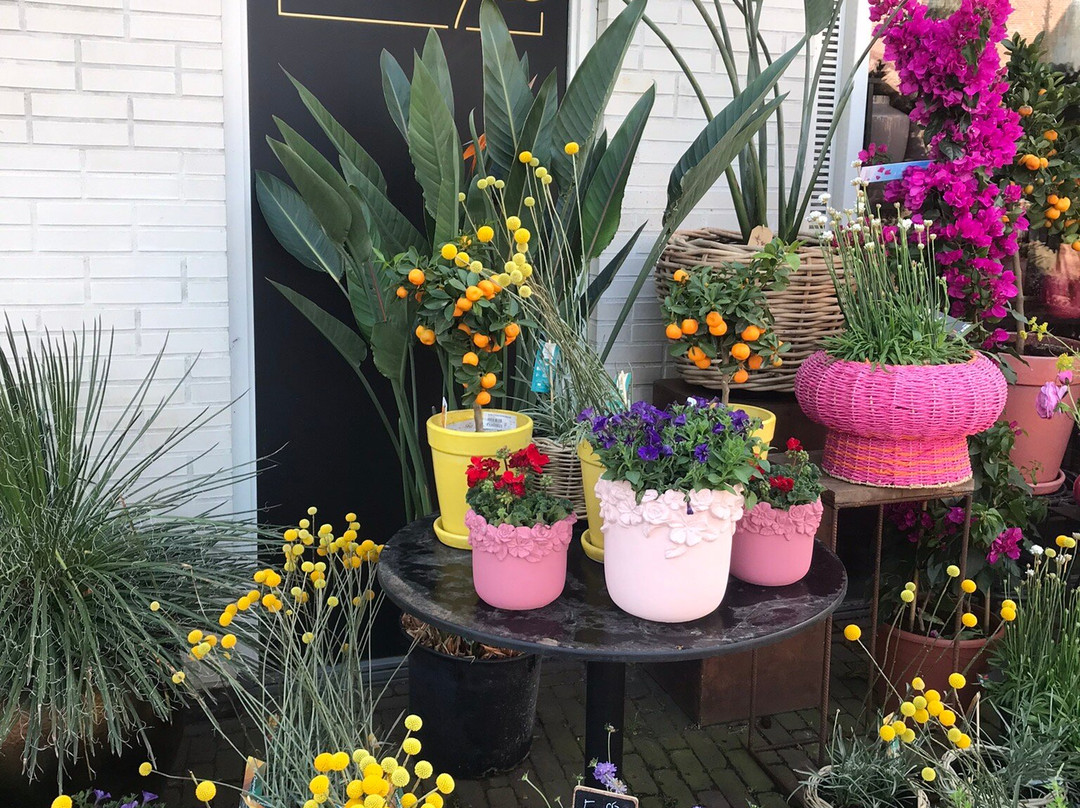 Bloemenhuis Monique-Heiloo必去景点