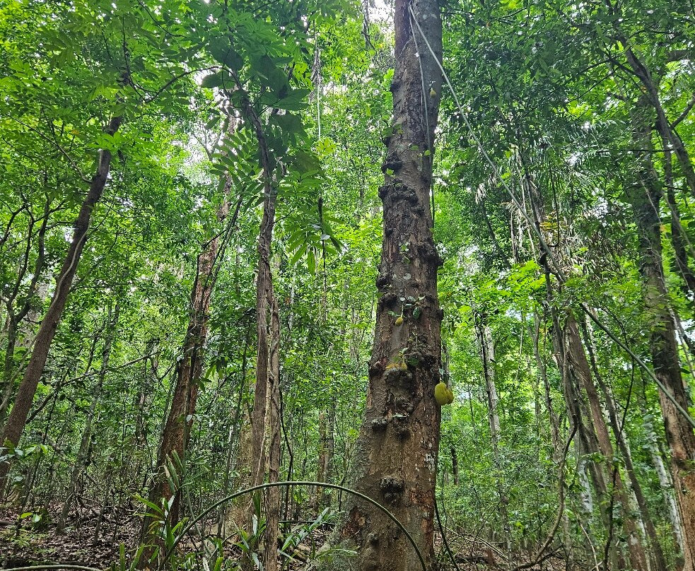 乌达瓦塔凯勒保护区景点图片