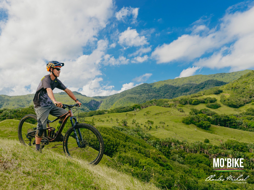 Mo'bike Park