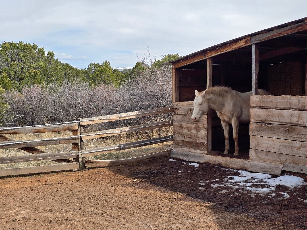 Double G Ranch主图