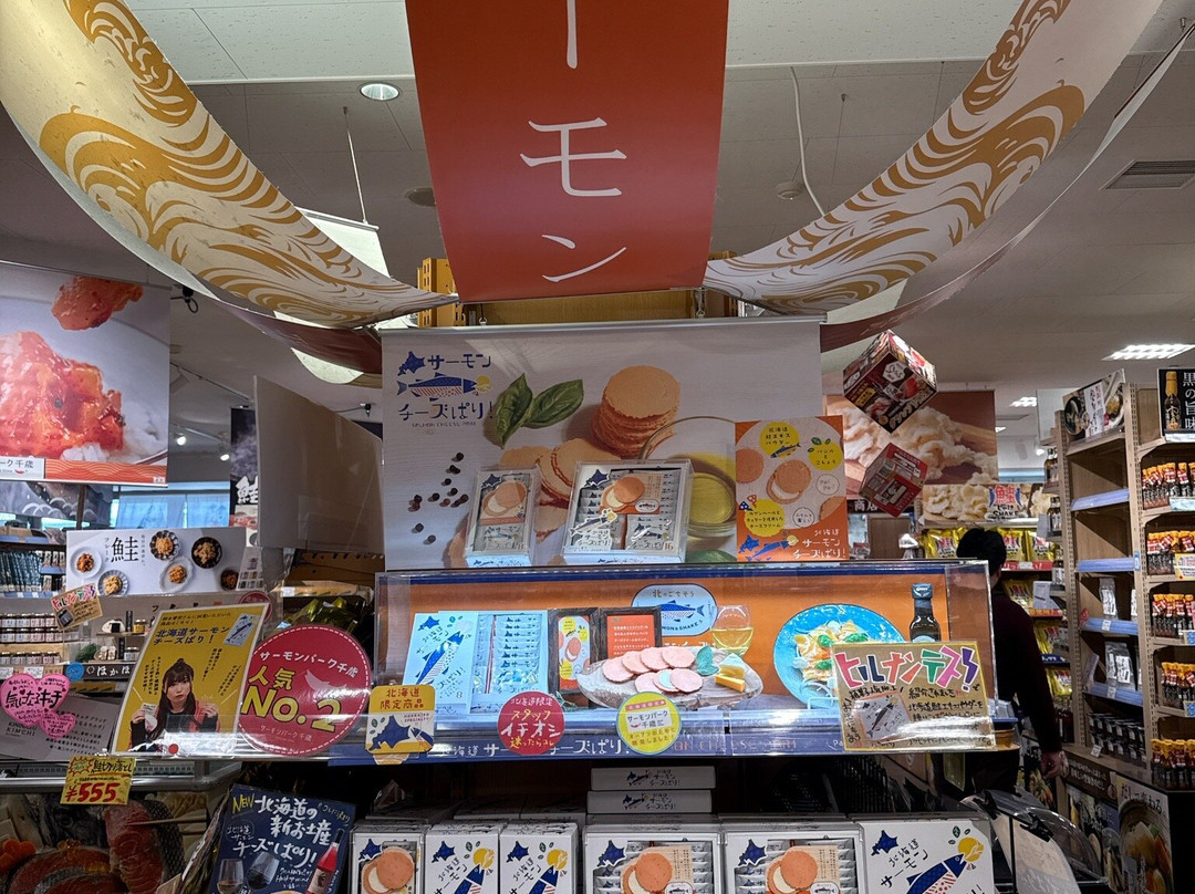 Michi-no-Eki Salmon Park Chitose景点图片