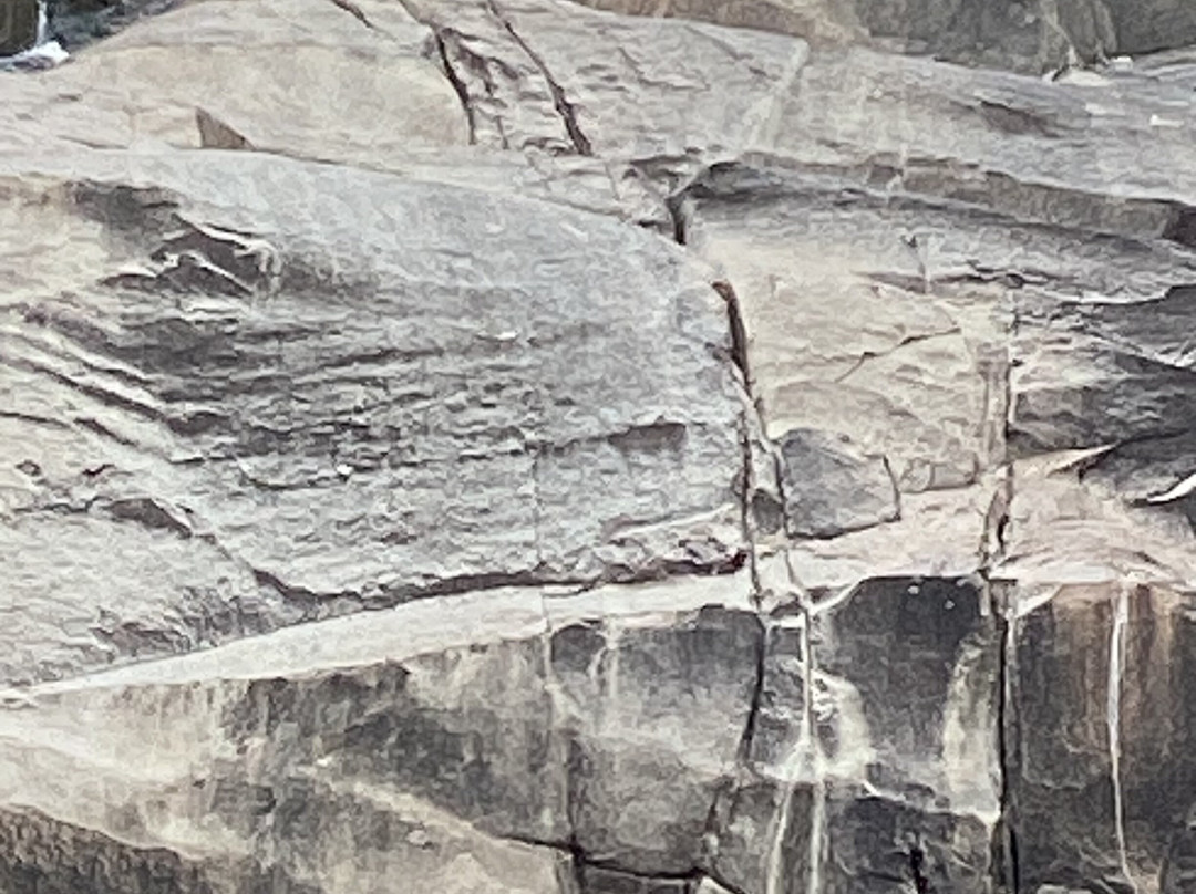 Coomba Falls-Maidenwell必去景点