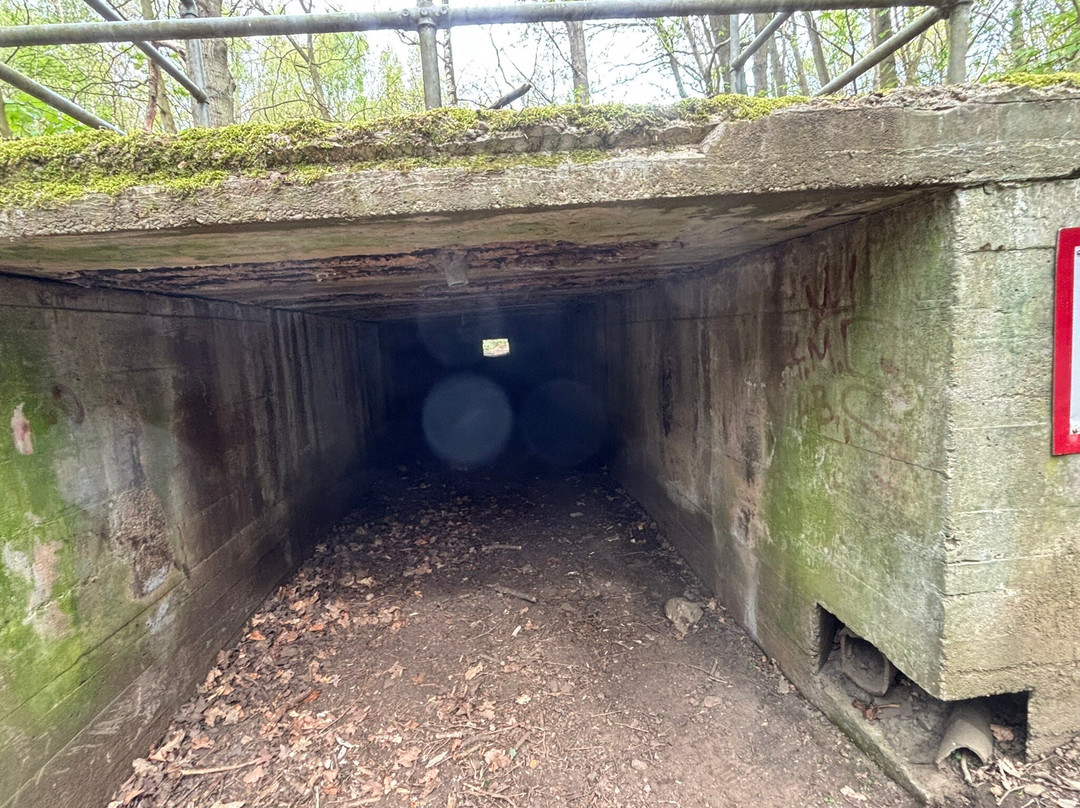 Sandall Beat Wood
