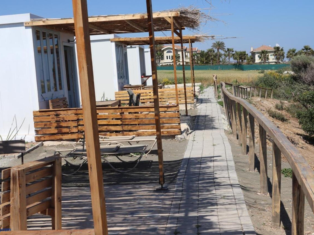 Summer Dream Cyprus