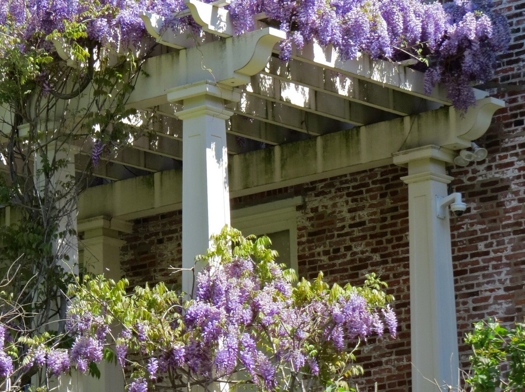 Macculloch Hall Historical Museum & Gardens景点图片