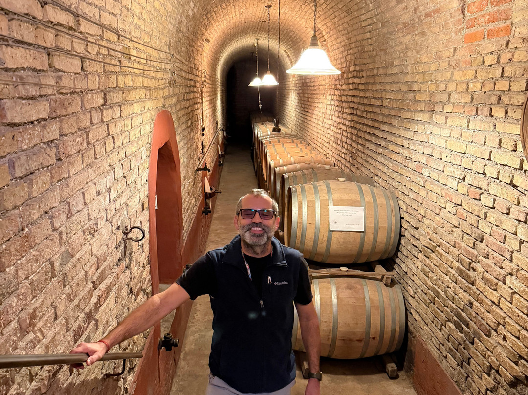 La Abeja Winery-圣拉斐尔必去景点