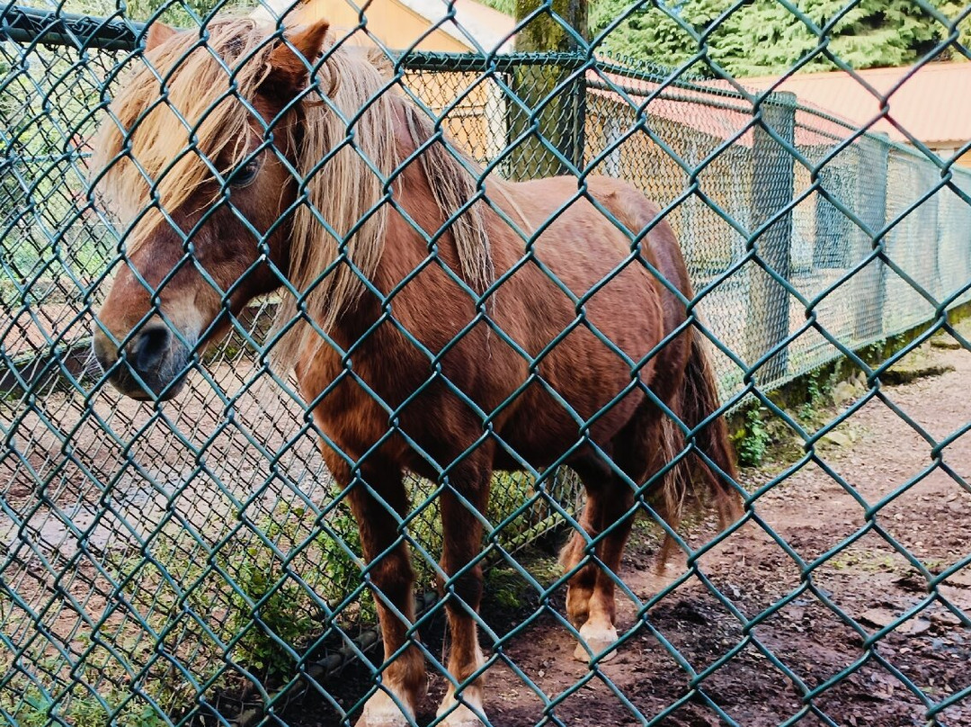 Enotel Santo Da Serra主图