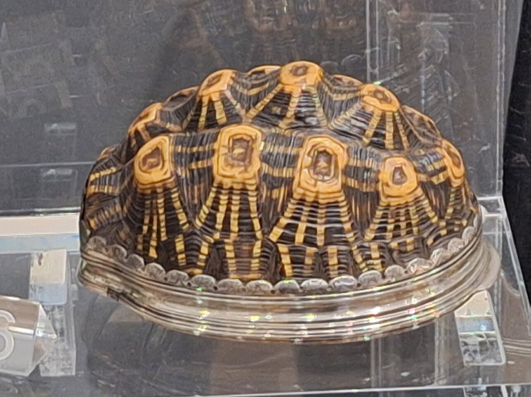 Waterford Treasures: Irish Silver Museum-沃特福德必去景点