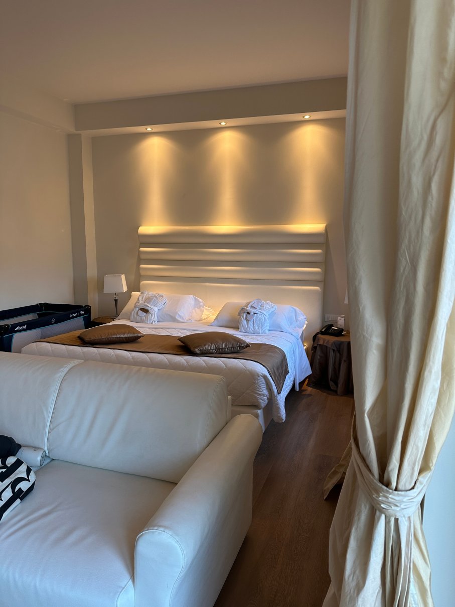 欧洲大酒店-客卧