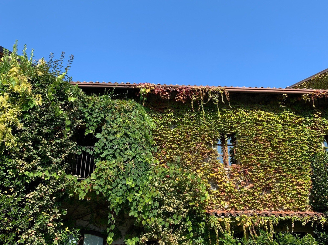 Winery Podere Selva Capuzza-代森扎诺-德尔加达必去景点