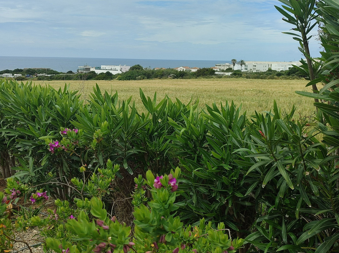 La Luce Paintings-Conil de la Frontera必去景点