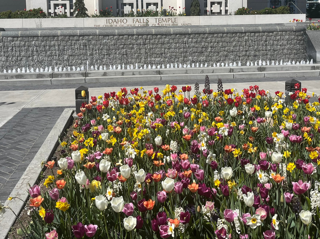 Idaho Falls Temple & Visitors' Center-爱达荷福尔斯必去景点