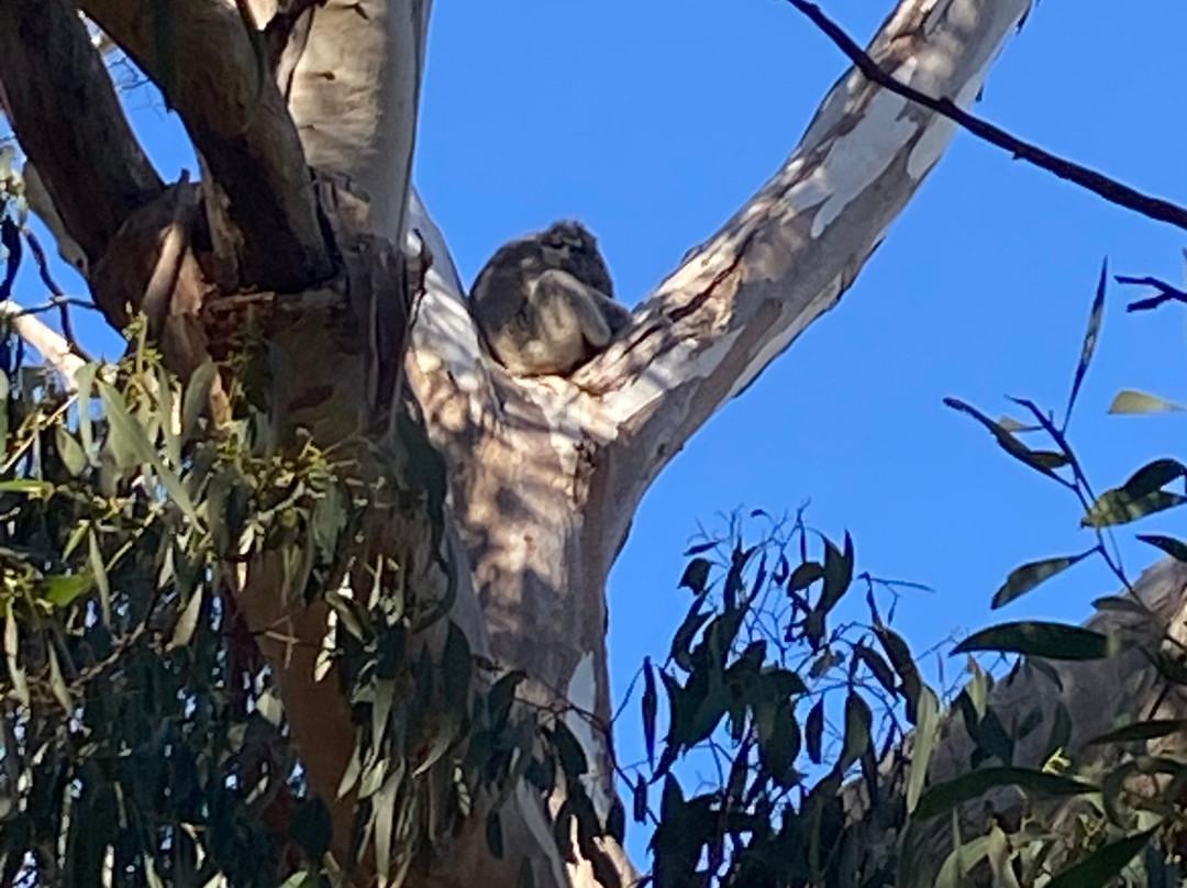 Graham Husson Fauna Park-波特兰必去景点