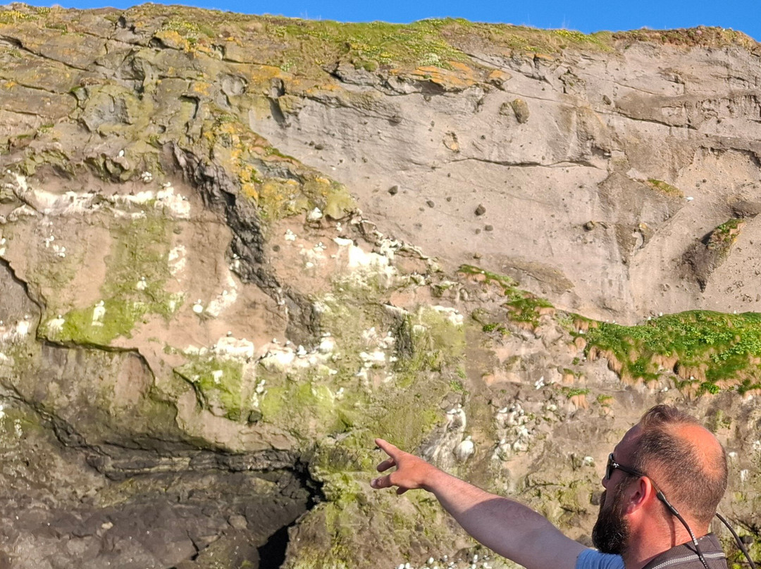 Ballintoy Boat Tours-Ballintoy必去景点
