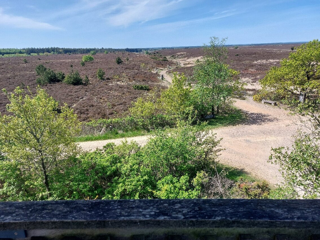 Kongenshus Mindeparks Naturcenter-维堡必去景点