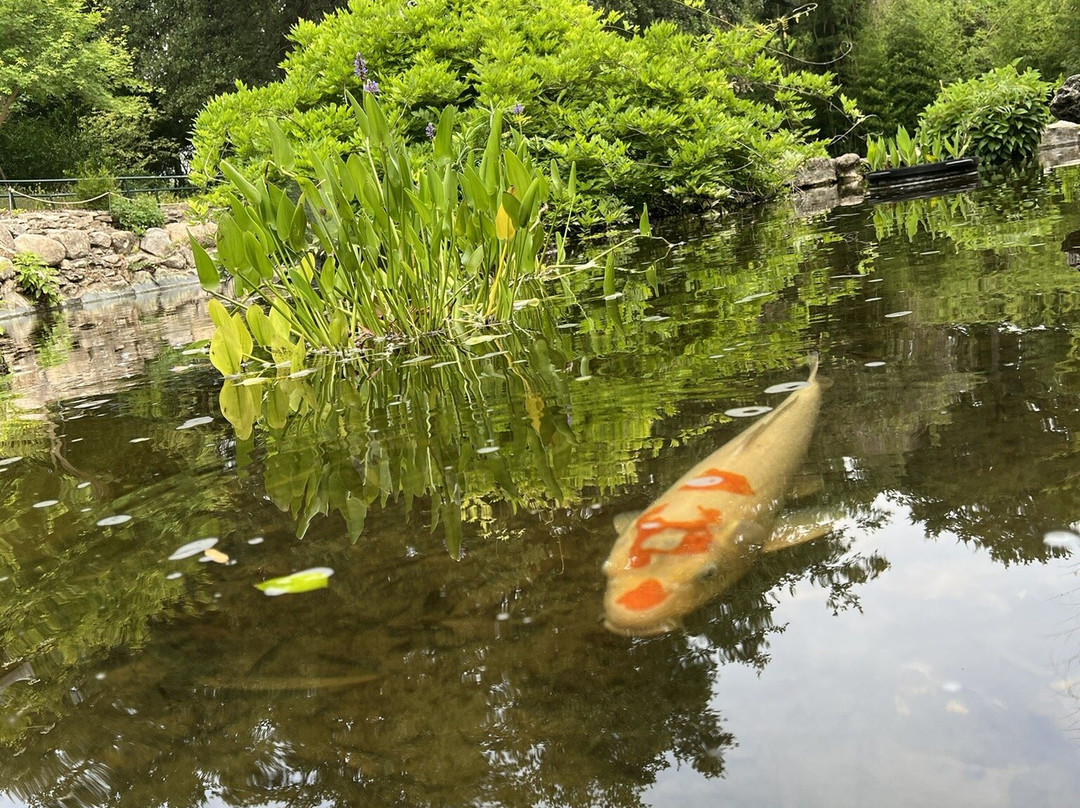 Zilker Botanical Garden-奥斯丁必去景点