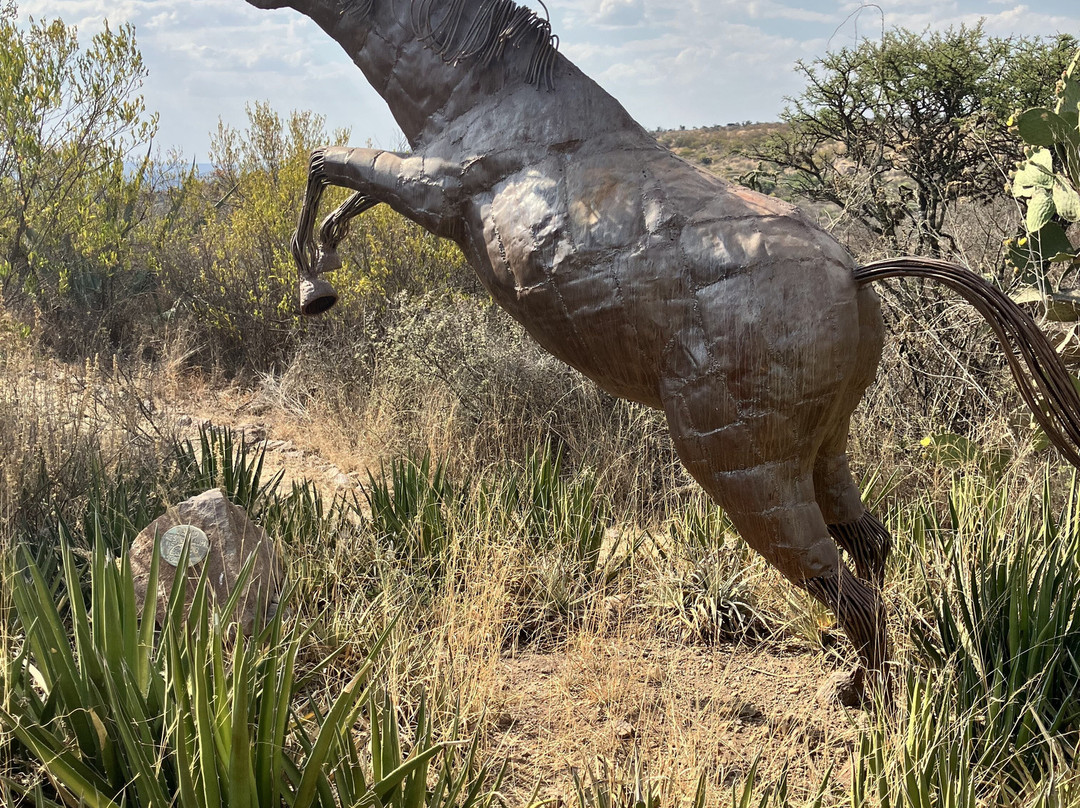 因赫尼奥池-圣米格尔护城必去景点