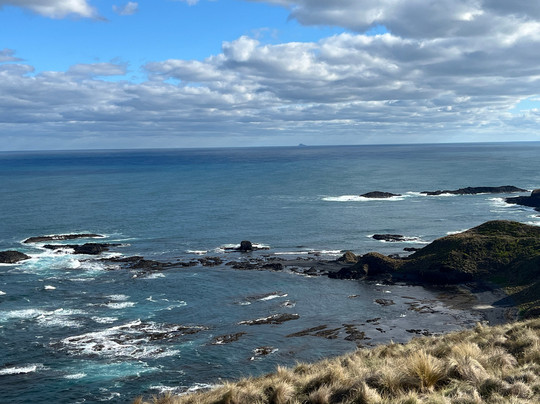 Woolnorth Tours-Woolnorth必去景点