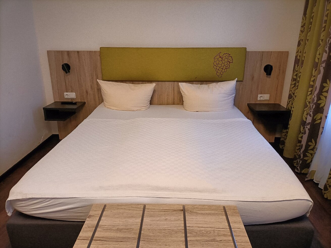 Hotel Goldene Traube主图