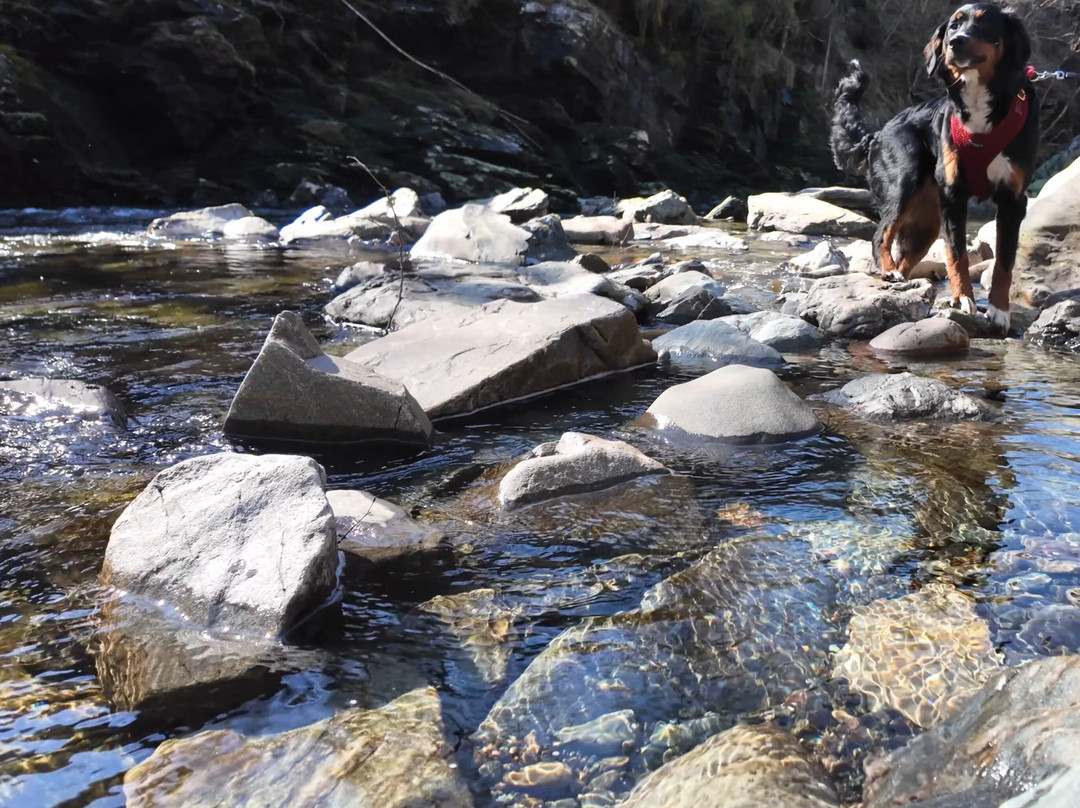 Falls of Falloch-洛蒙德湖与特罗萨克斯山国家公园必去景点