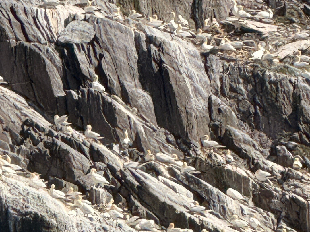 Carraig Liath House主图