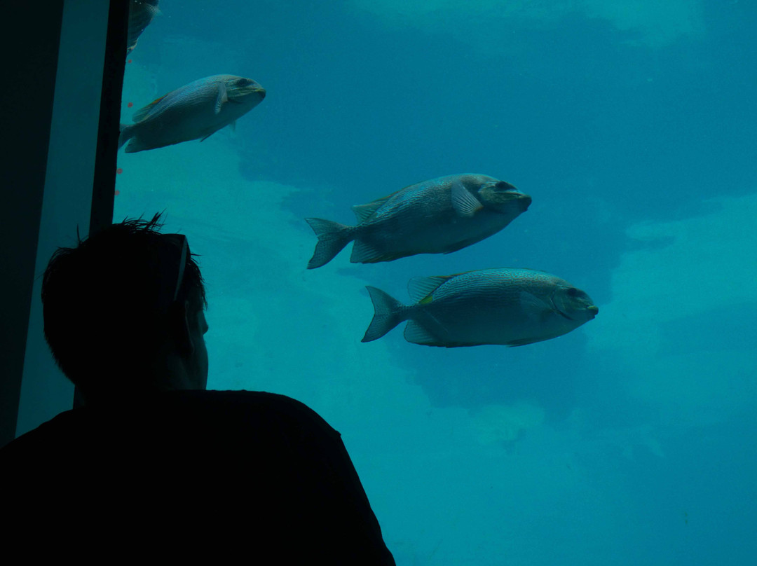日梦岛温泉度假酒店主图