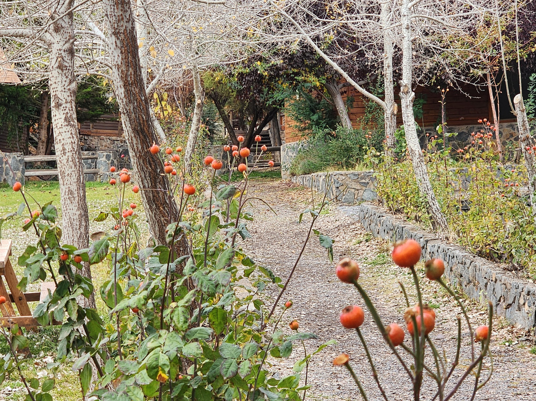 San Francisco Lodge主图