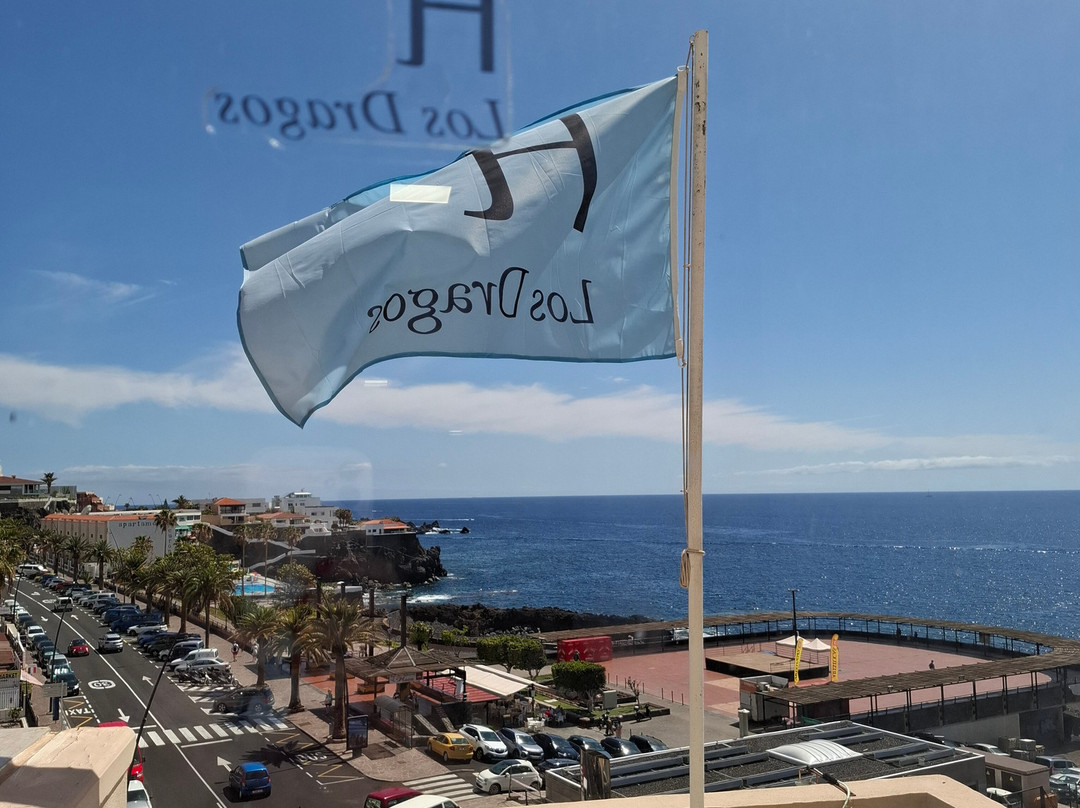 Aparthotel Los Dragos del Sur主图