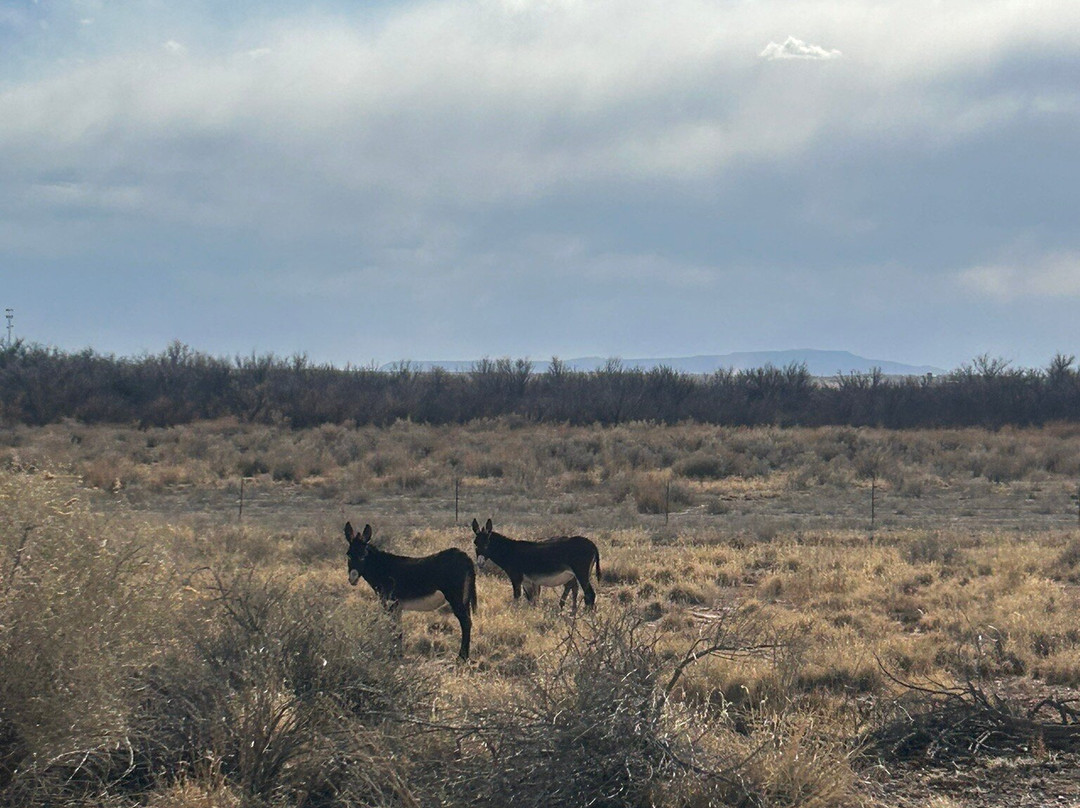 Homolovi State Park-温斯洛必去景点