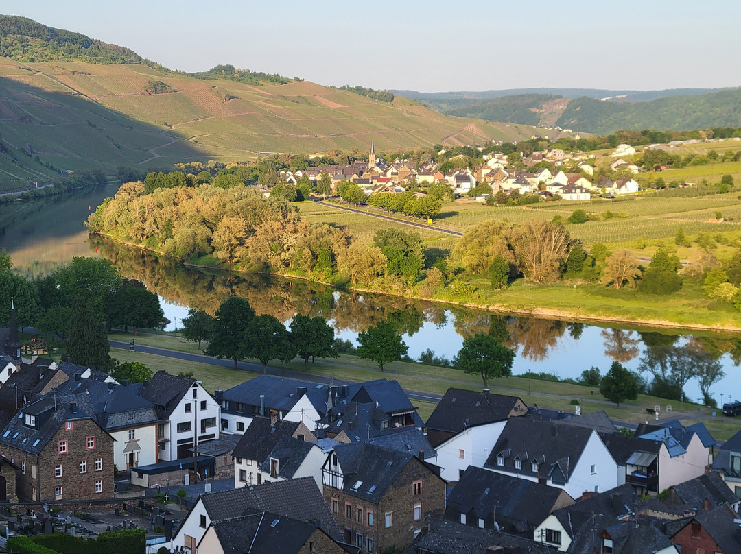 Weingut Gaestehaus Gerlach主图
