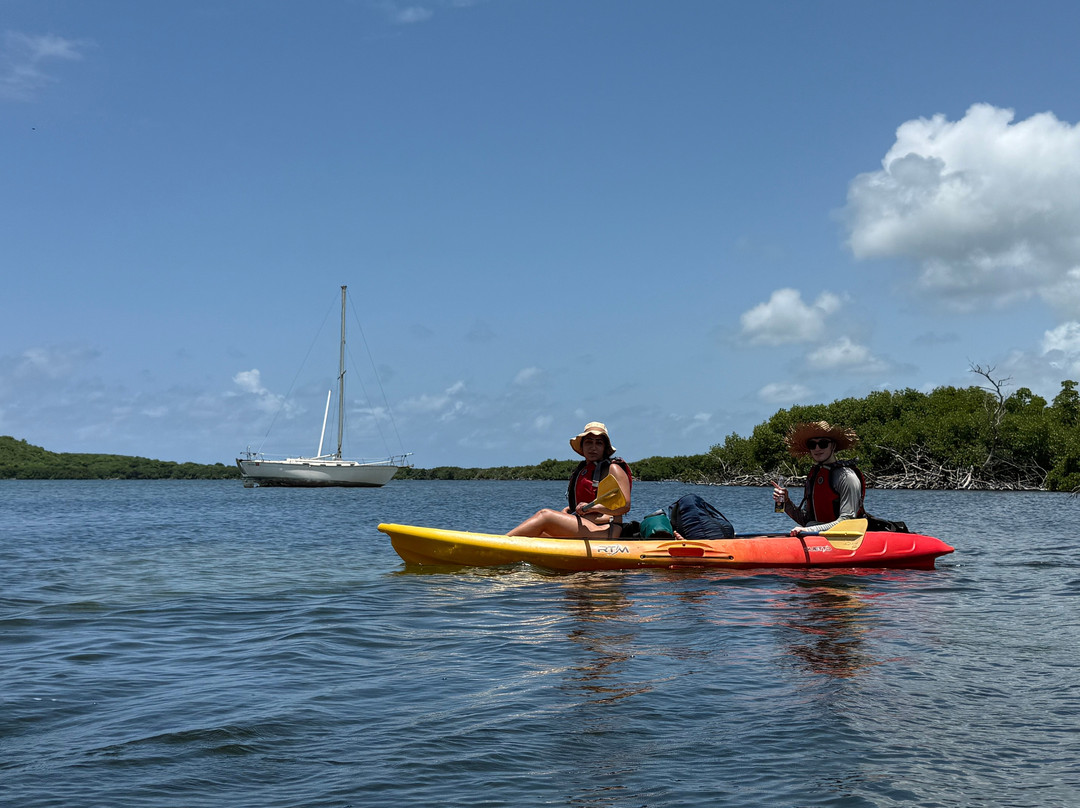 Abe's Snorkeling and BioBay Tours景点图片