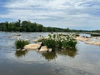 NC Outdoor Adventures-Bakersville必去景点