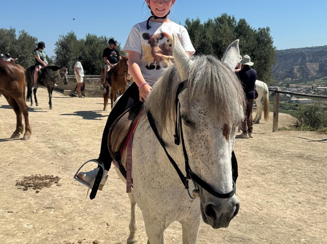 Hersonissos Horseriding-Finikia必去景点