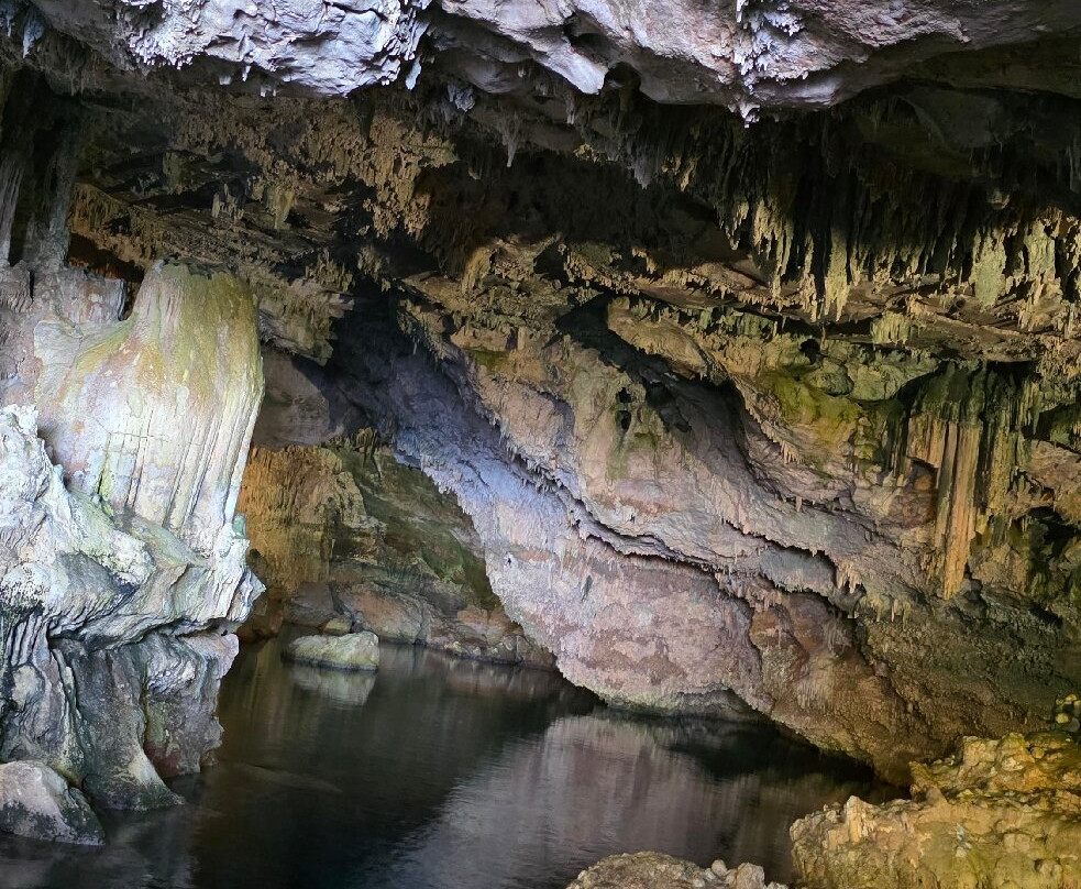 Frecce delle Grotte S.R.L-阿尔盖罗必去景点