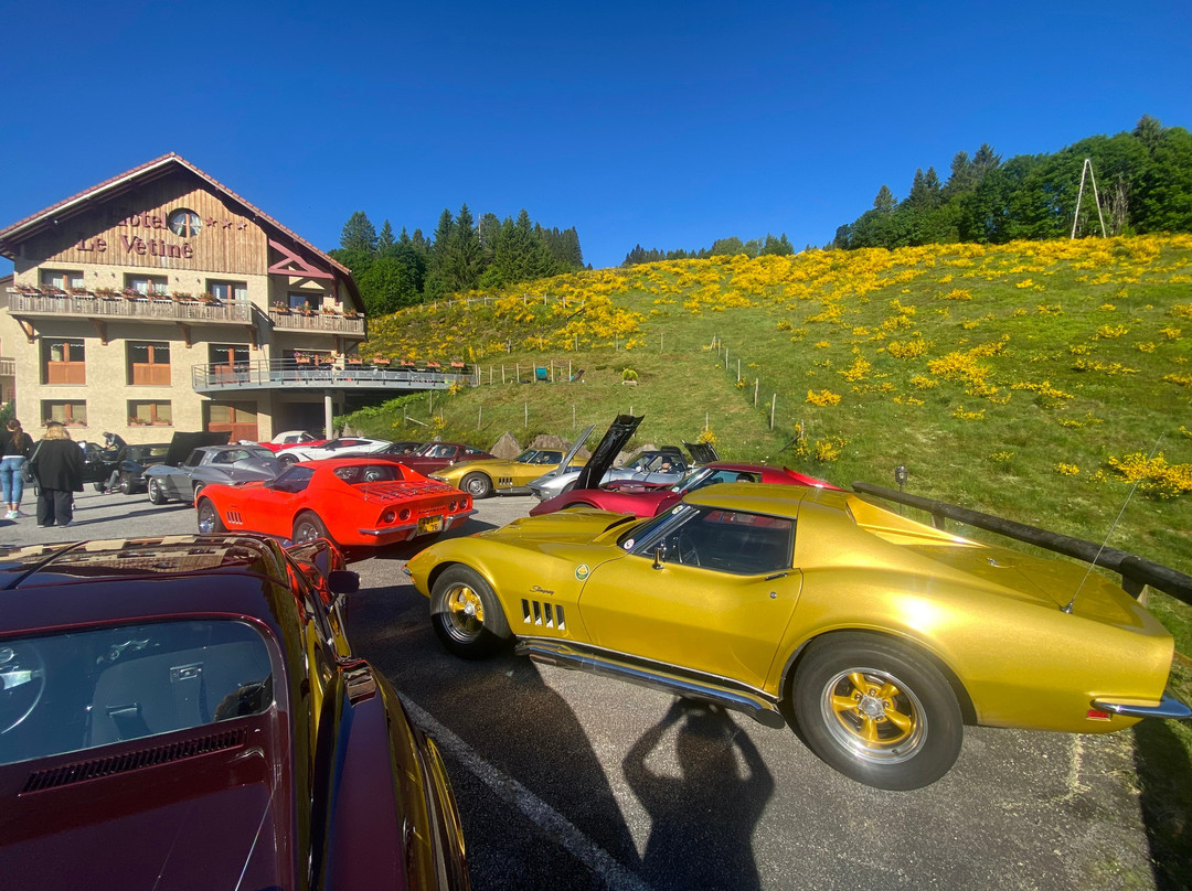 Logis Hôtel le Vétiné主图