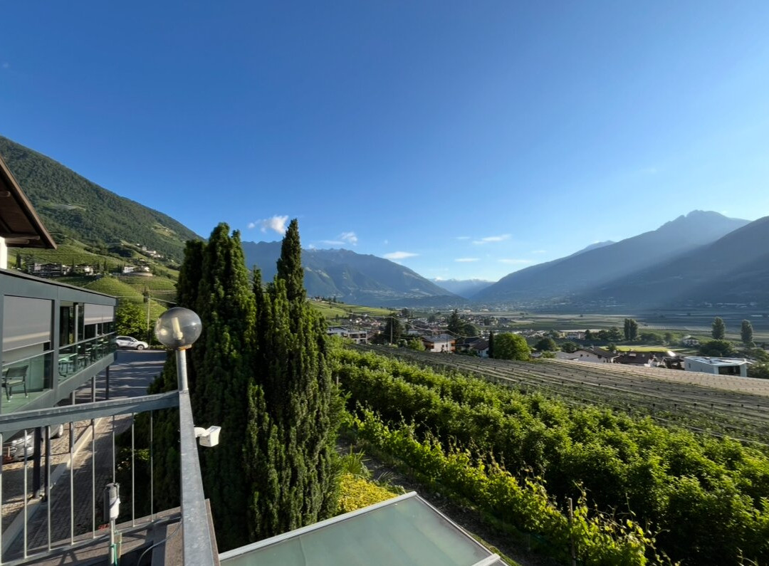 Hotel Törggelehof主图