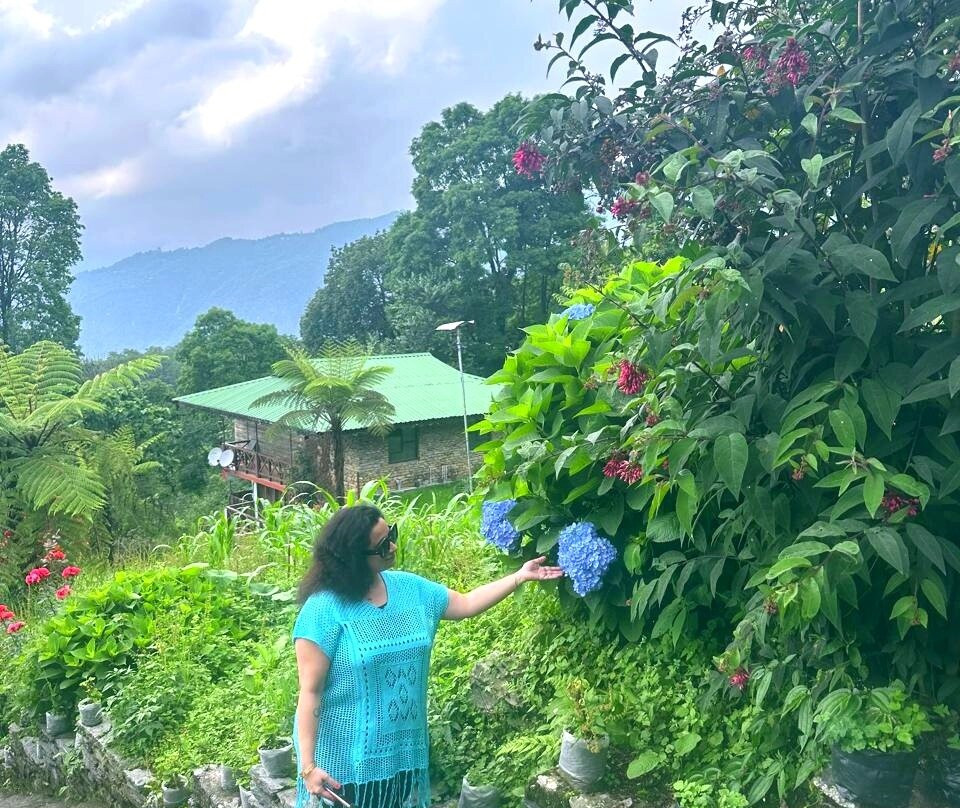 The Barfung Retreat主图